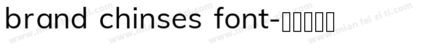brand chinses font字体转换